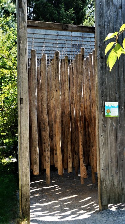 18.06.30_036_ о.Майнау.JPG