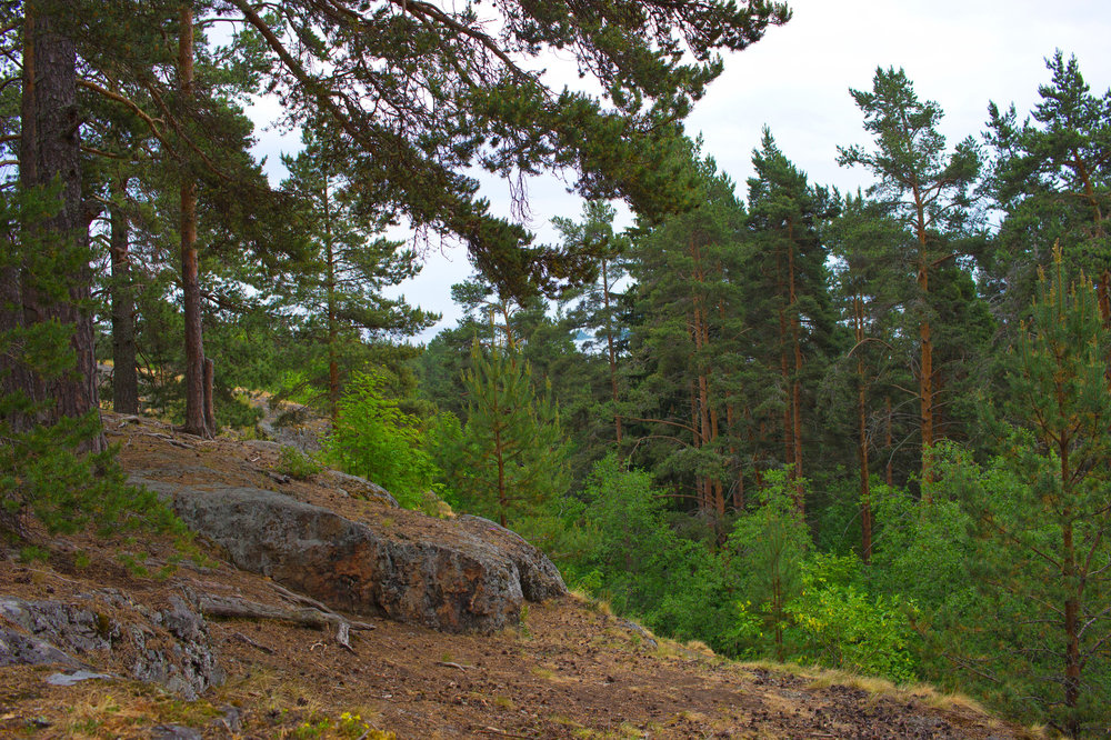 IMG_4189 Урочище Чертов Стул.JPG