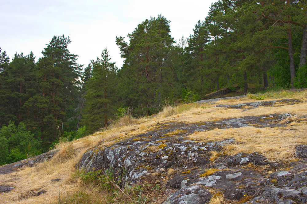 IMG_4209 Урочище Чертов Стул.jpg