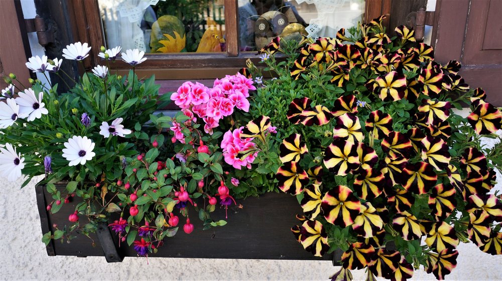 18.07.01_190_ Обераммергау.JPG