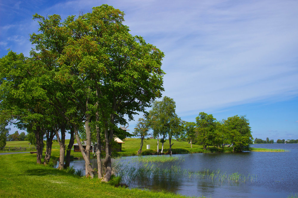 IMG_3821 Кижи.jpg