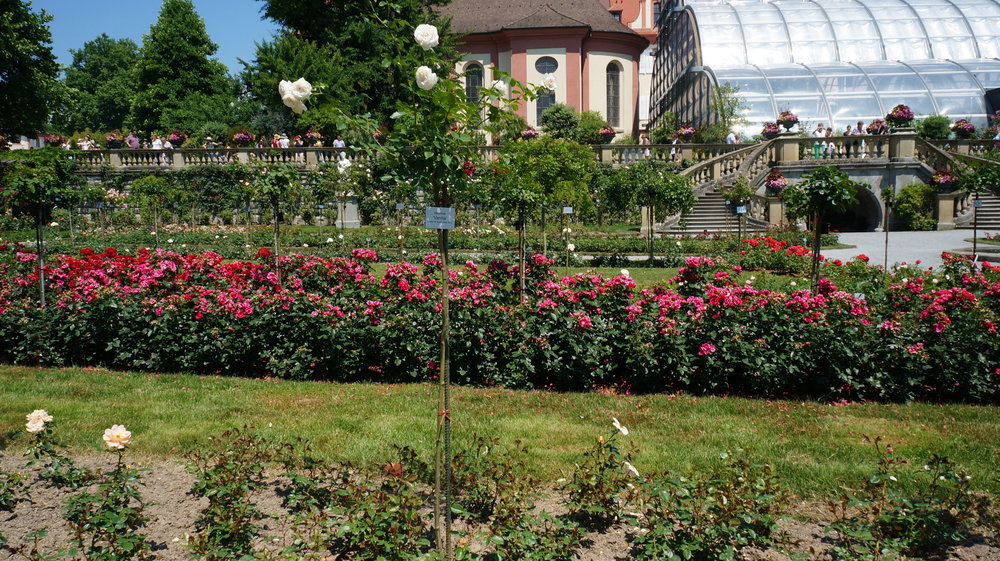 18.06.30_202_ о.Майнау.JPG