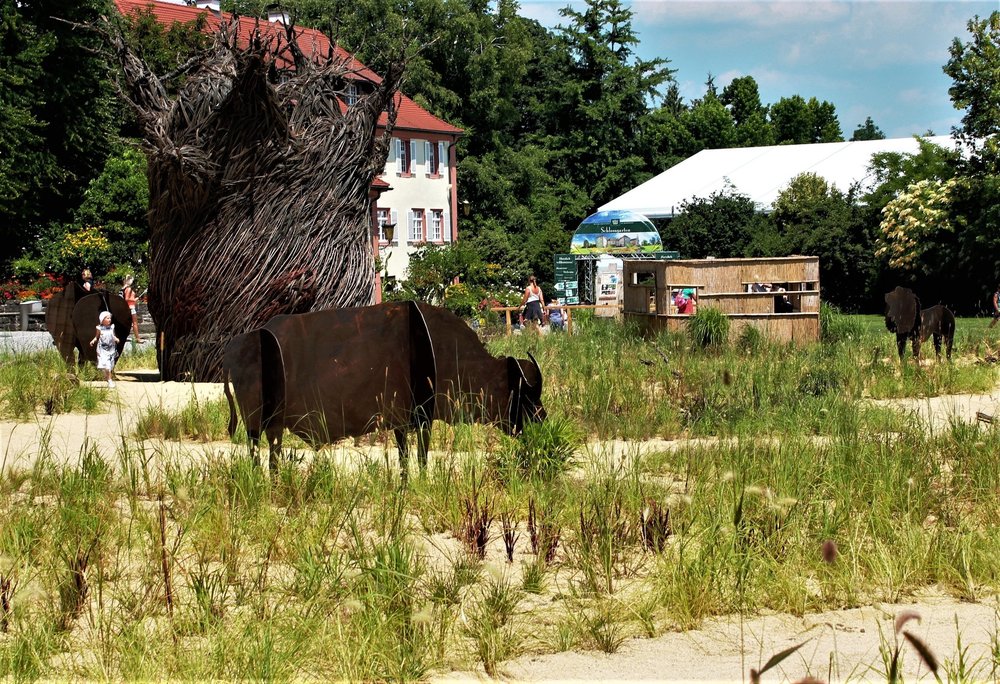 18.06.30_308_ о.Майнау.JPG