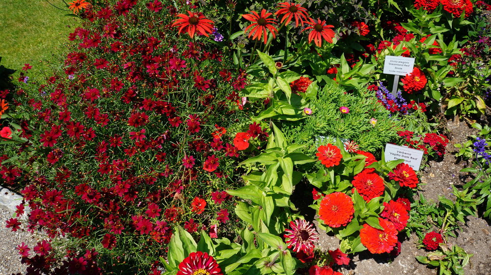 18.06.30_283_ о.Майнау.JPG