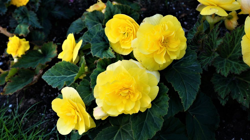 18.07.02_393_  Зальцбург_.JPG