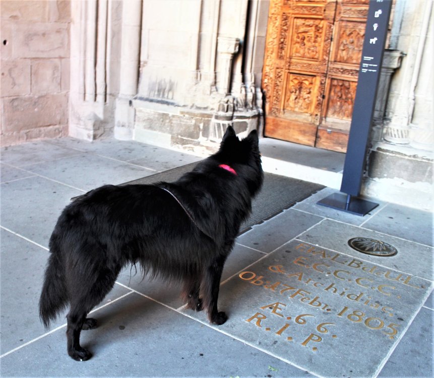 18.06.30_272_  Констанц.JPG