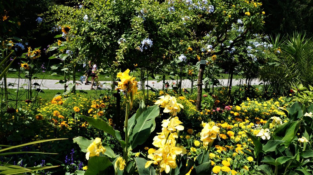 18.06.30_273_ о.Майнау.JPG