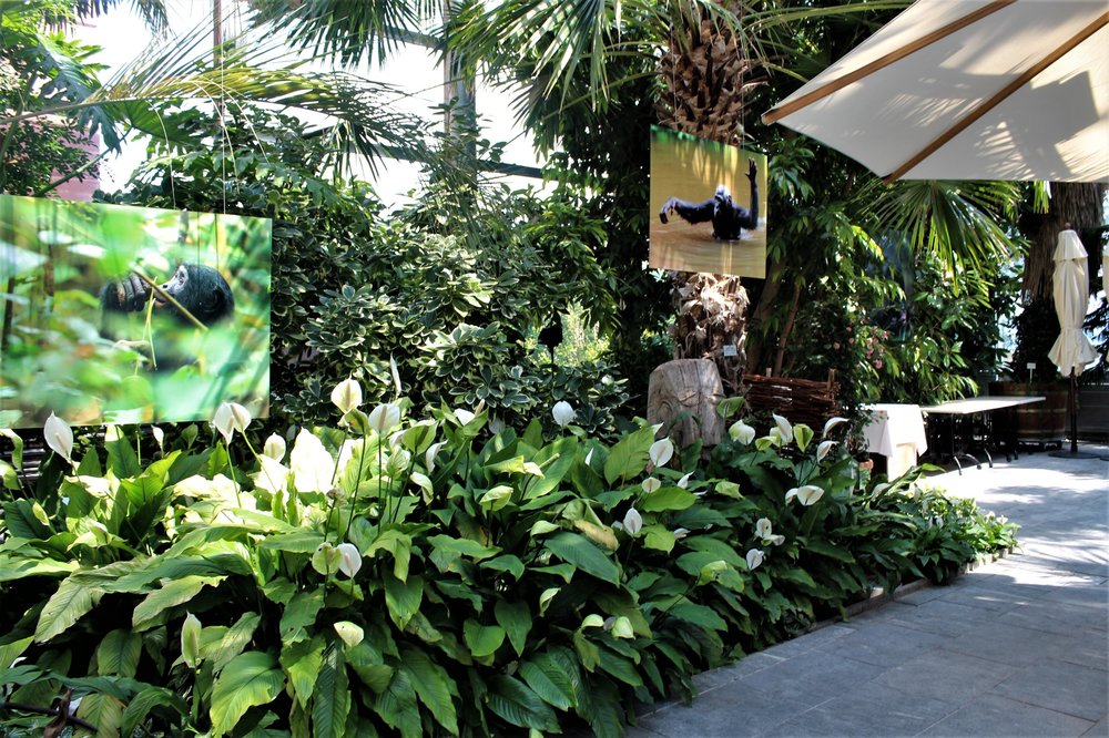 18.06.30_239_ о.Майнау.JPG