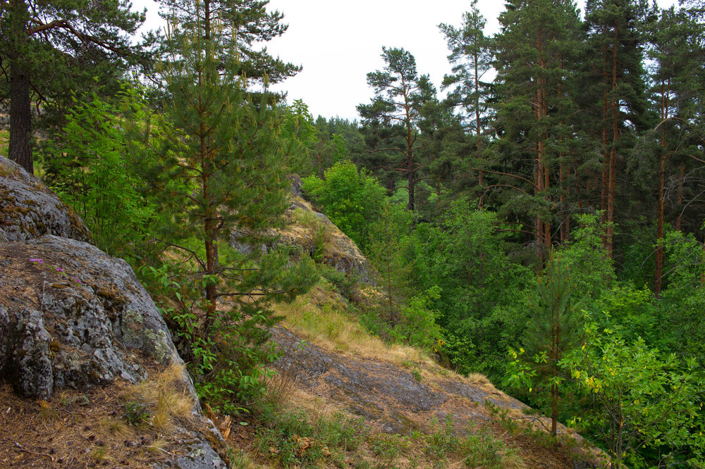 IMG_4173 Урочище Чертов Стул.JPG