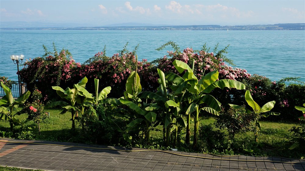 18.06.30_266_ Меерсбур.JPG