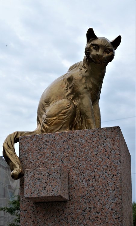 18.07.05_048_ Тюмень_ Сквер сибирских кошек.JPG