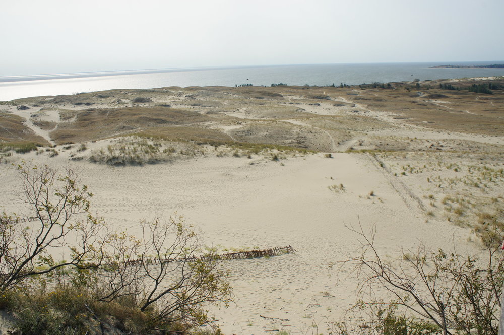 DSC05231  Куршская коса  Литва  . .JPG