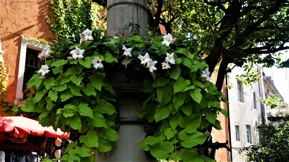 18.06.30_093_ Меерсбур.JPG