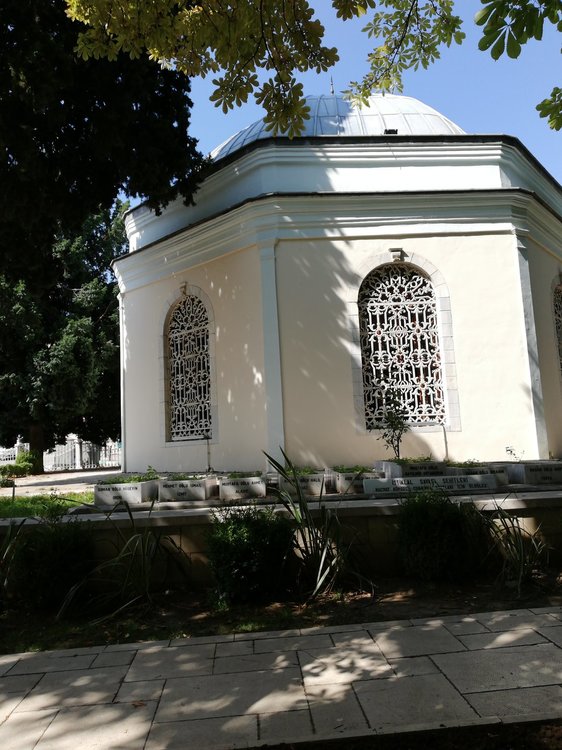 IMG_2018-09-19 11-38-30.jpg