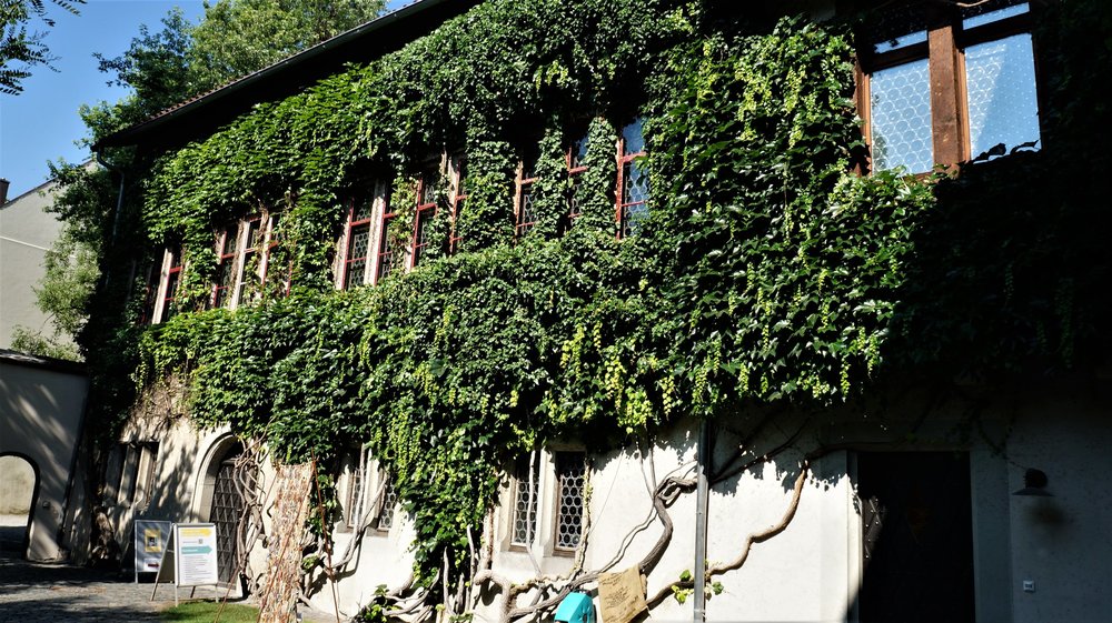 18.06.30_125_  Констанц.JPG