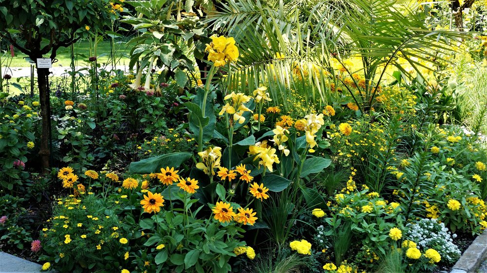 18.06.30_260_ о.Майнау.JPG