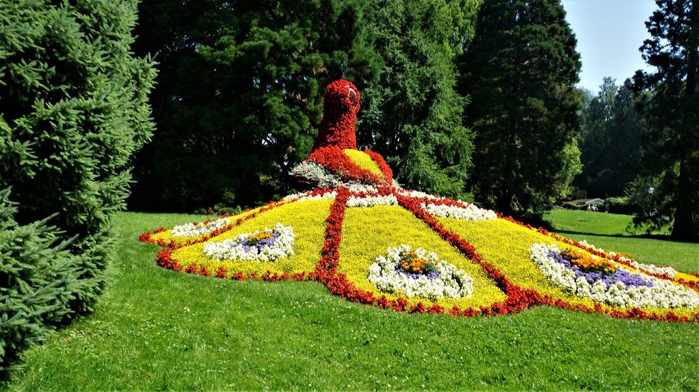 18.06.30_039_ о.Майнау.JPG