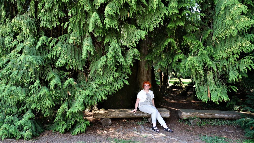 18.06.30_310_ о.Майнау.JPG