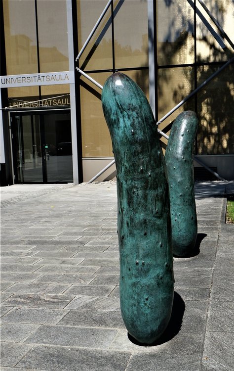 18.07.02_163_  Зальцбург_ Двор университета.JPG