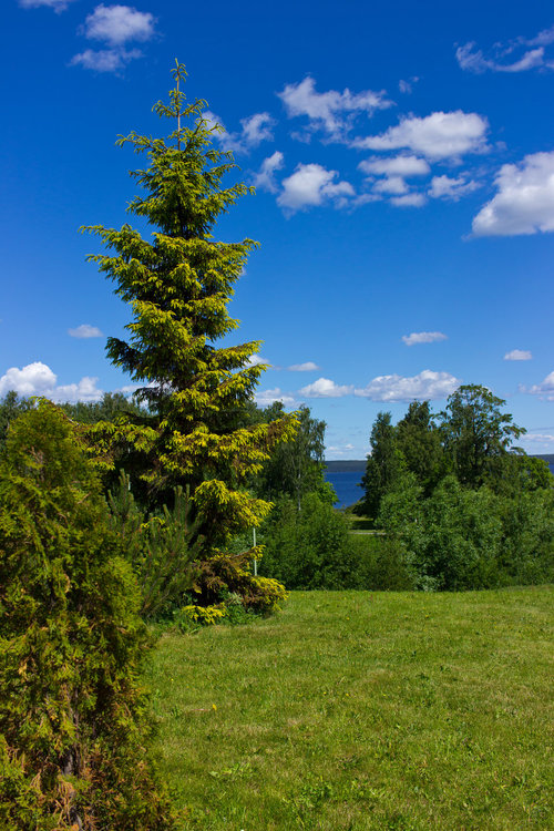 IMG_4056 Петрозаводск.jpg