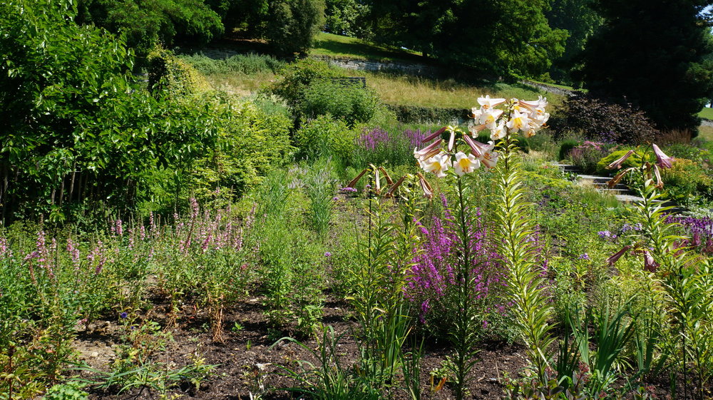 18.06.30_066_ о.Майнау.JPG