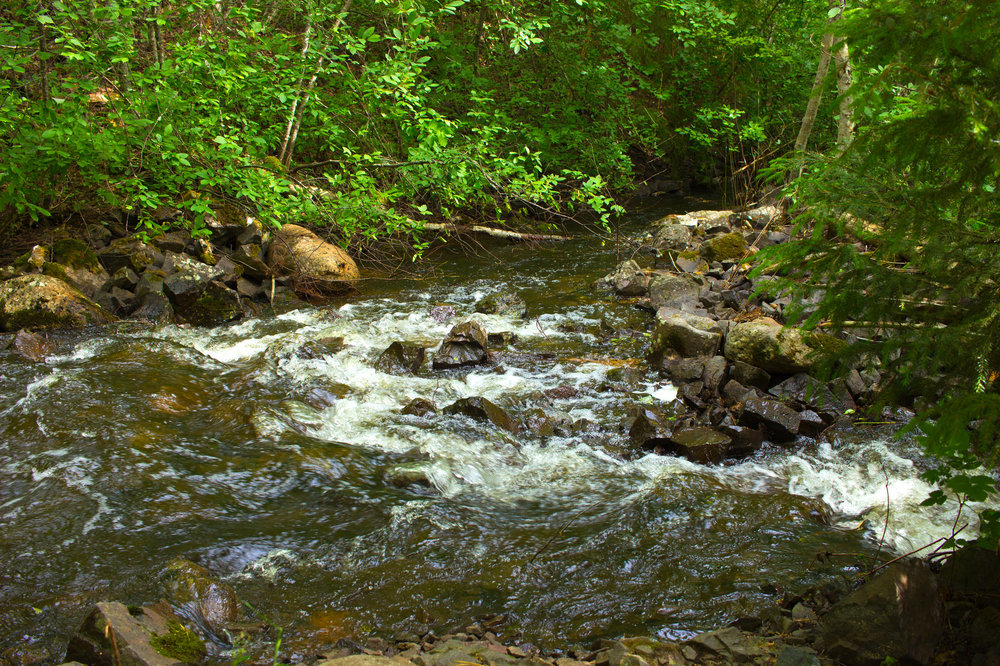 IMG_3951 Заповедник Кивач.jpg