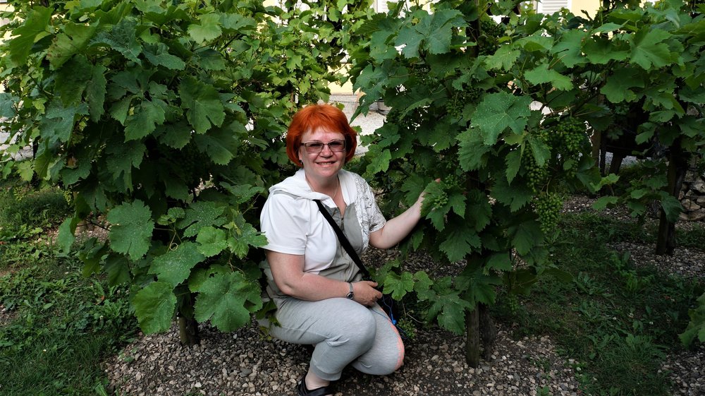 18.06.30_195_ Меерсбур.JPG