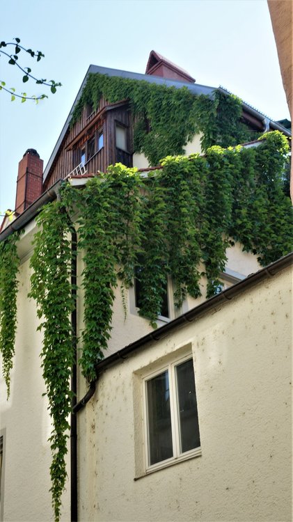 18.06.30_174_  Констанц.JPG