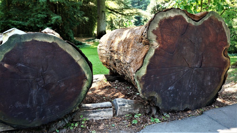 18.06.30_336_ о.Майнау.JPG