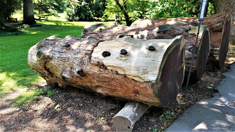 18.06.30_333_ о.Майнау.JPG