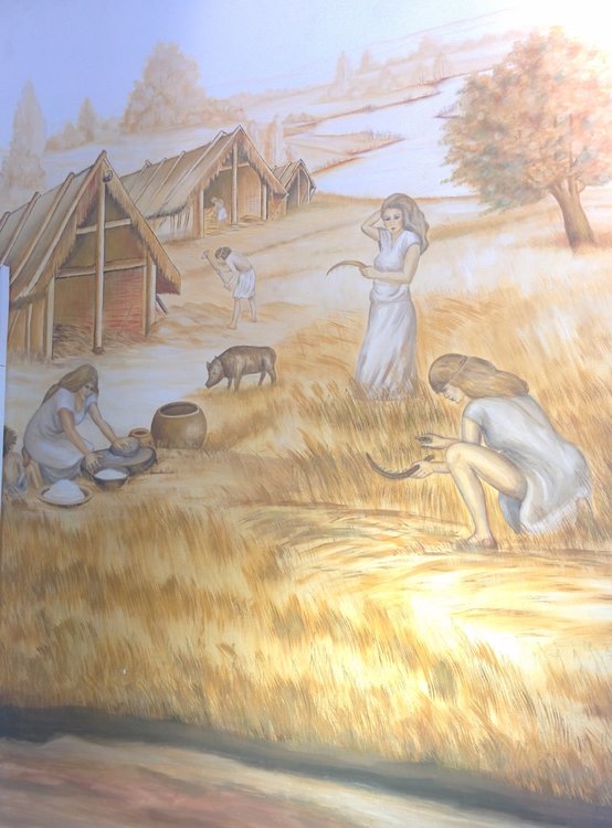 2018-09-13 13-44-05.JPG