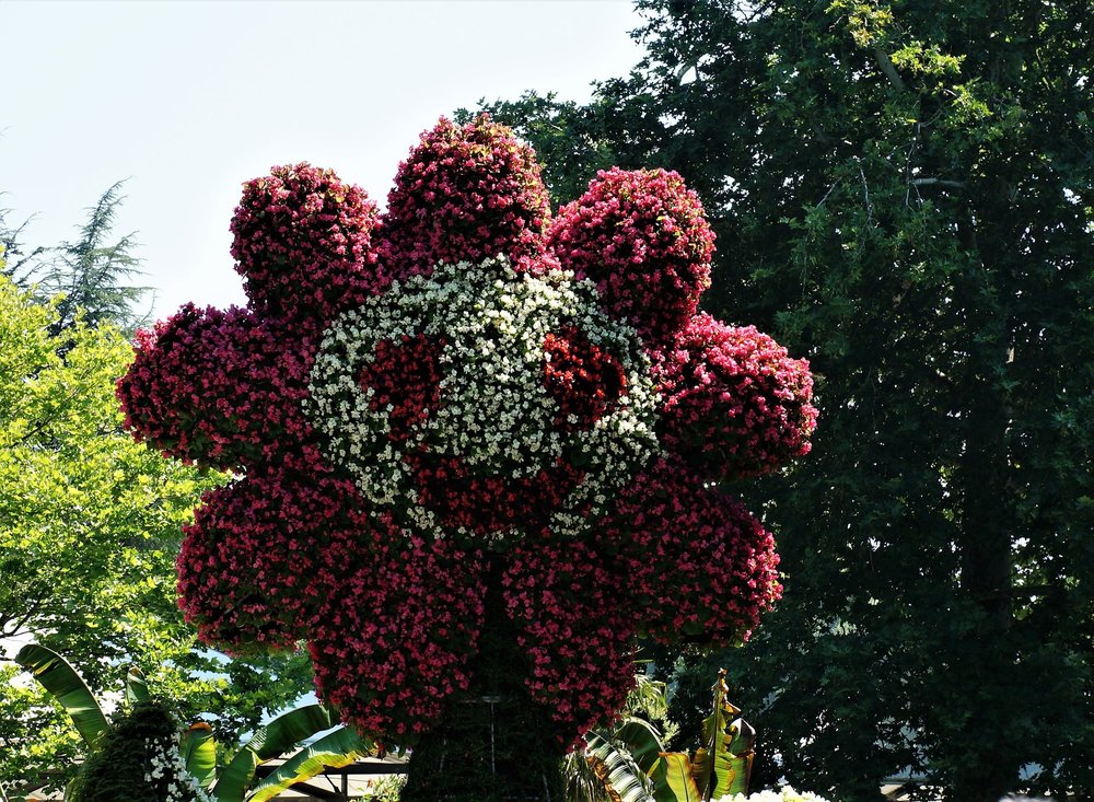 18.06.30_026_ о.Майнау.JPG