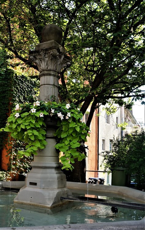 18.06.30_092_ Меерсбур.JPG