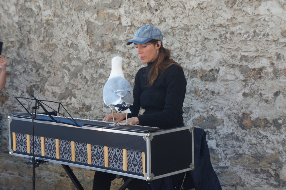 DSC04895 Таллин смотровая площадка  .JPG