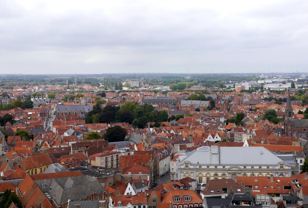 _1360846.JPG 2.jpg 2.jpg