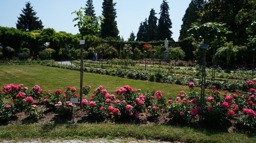 18.06.30_199_ о.Майнау.JPG