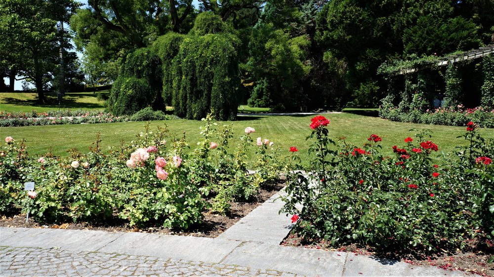 18.06.30_204_ о.Майнау.JPG