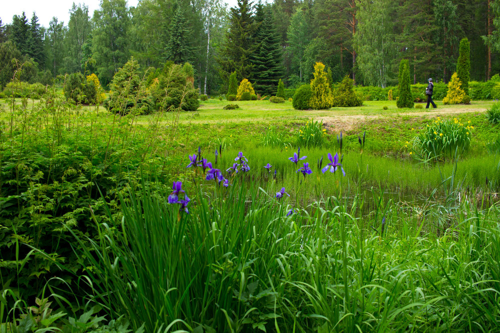 IMG_4094 Ботанический сад.jpg