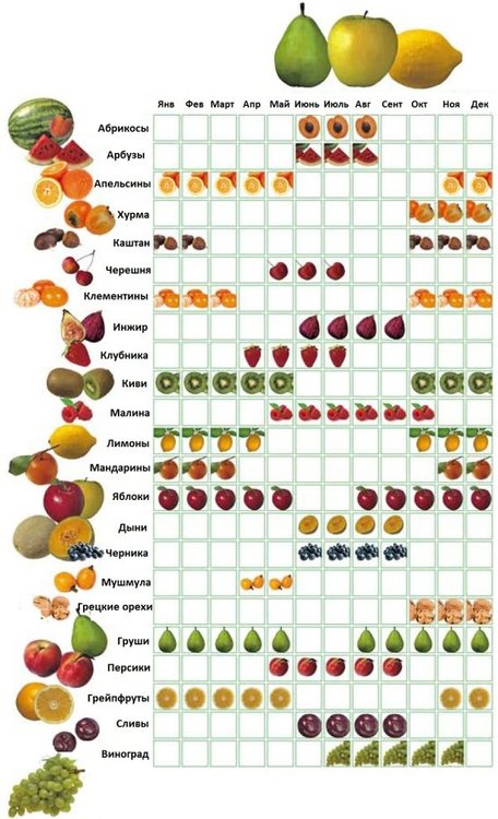 calendario-frutta.jpg
