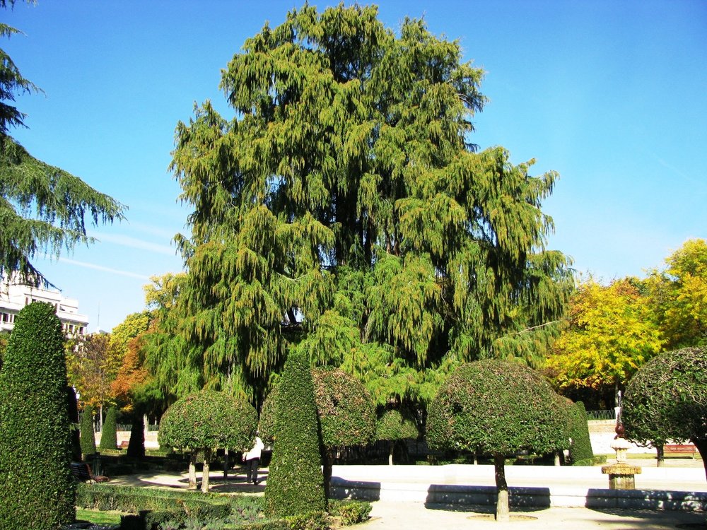 Испания-2010фото 345.JPG