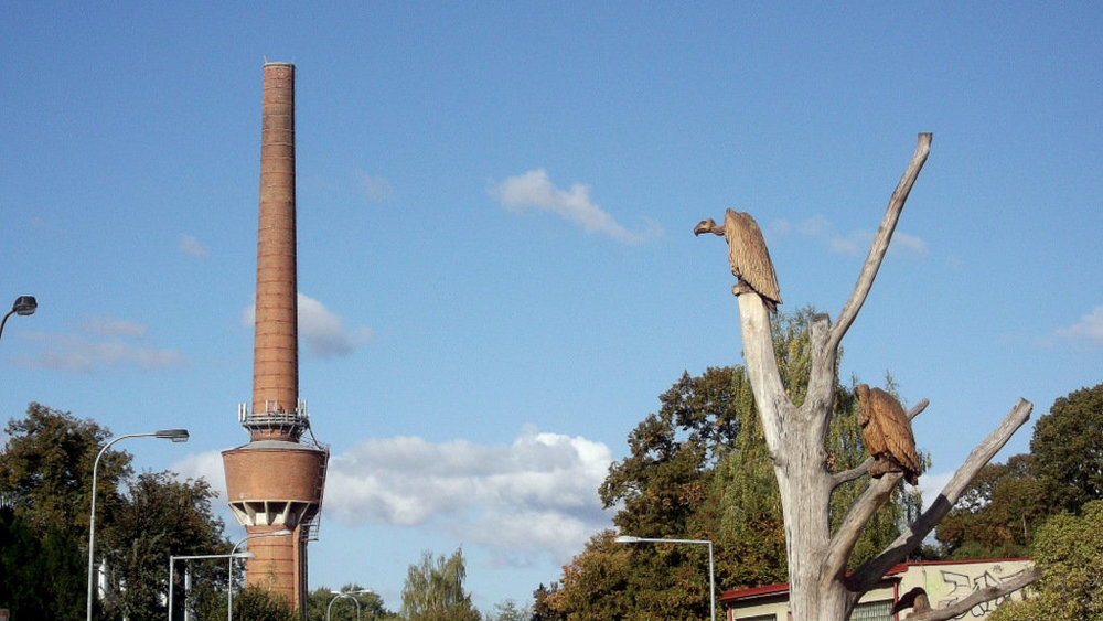 Золотые стёжки Чешского Рая 2161.JPG