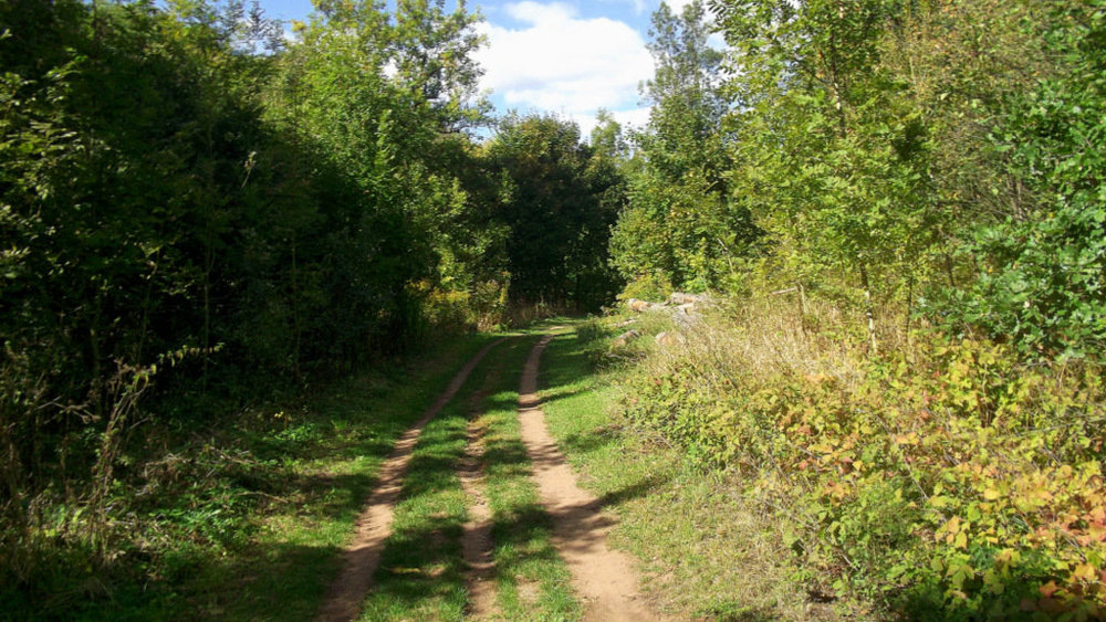 Золотые стёжки Чешского Рая 2319.JPG