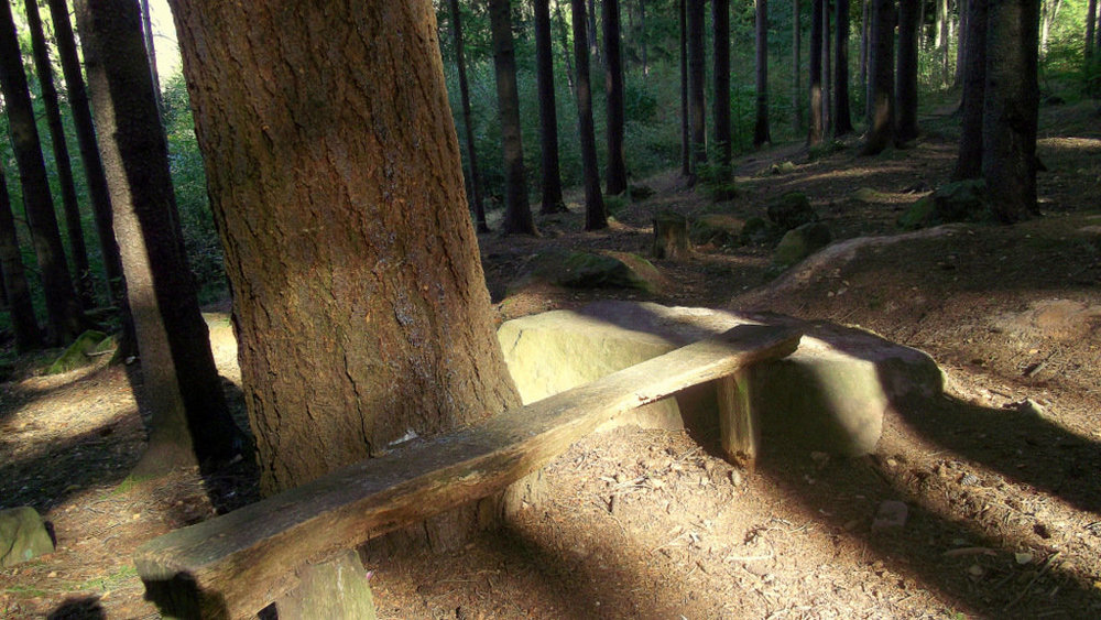 Золотые стёжки Чешского Рая 2433.JPG