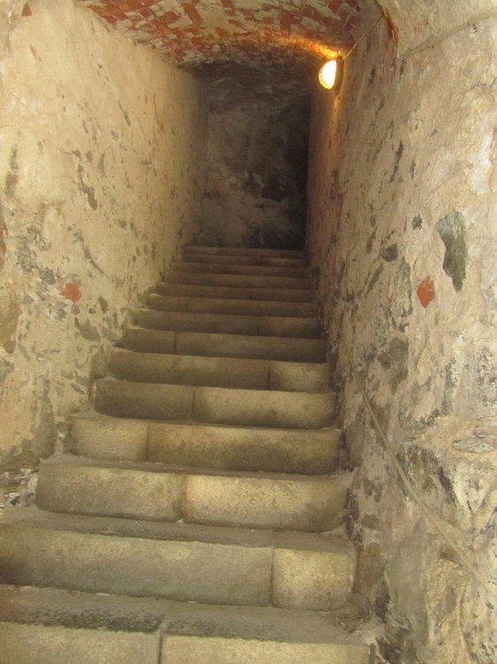 IMG_7893 — копия.JPG