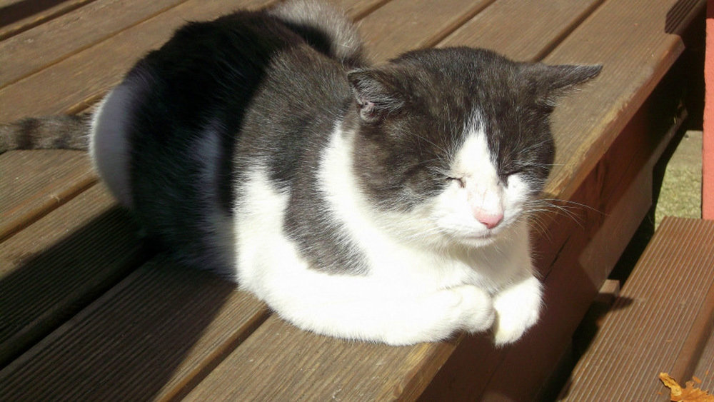 Золотые стёжки Чешского Рая 2310.JPG