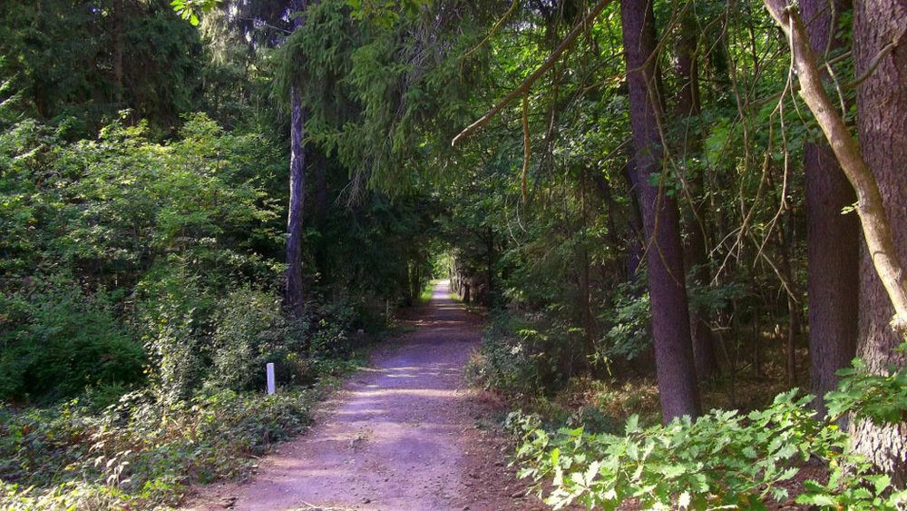 Золотые стёжки Чешского Рая 2427.JPG