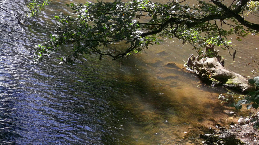 Золотые стёжки Чешского Рая 2335.JPG