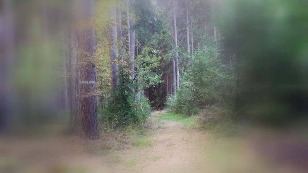 Золотые стёжки Чешского Рая 2363.JPG