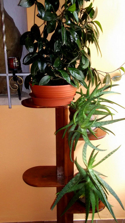 Золотые стёжки Чешского Рая 2940.JPG