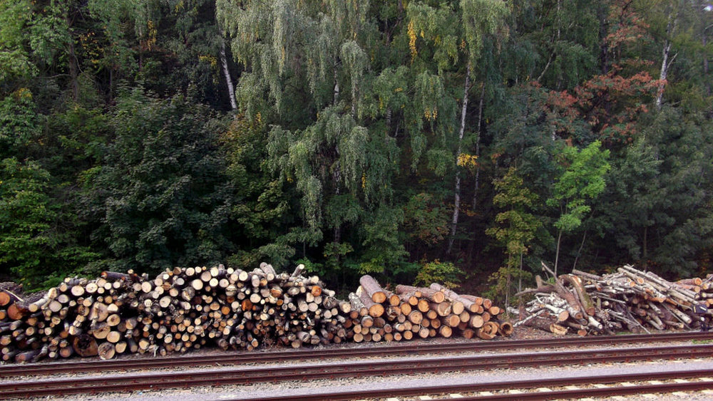 Золотые стёжки Чешского Рая 2169.JPG